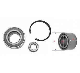 Kit roulement de roue arrière (Tambours) Renault CLIO 3 du 09/2005 au 03/2009 - GO5504670